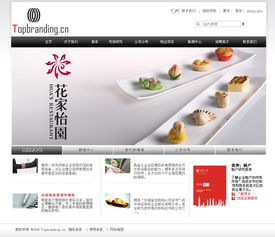 广告咨询服务公司企业网站整站设计——Vens2008作品展示