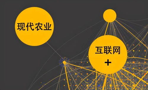 农业与互联网交错 社交电商为农村经济发展赋能与网络技术领域的拓展