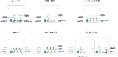AI驱动制药 网络技术赋能新药研发的典范模式